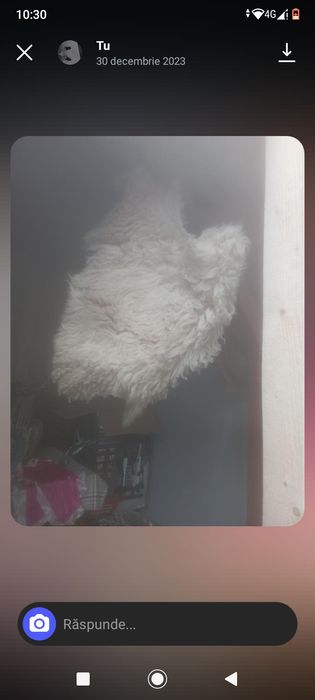 Costum Mascat Anul Nou