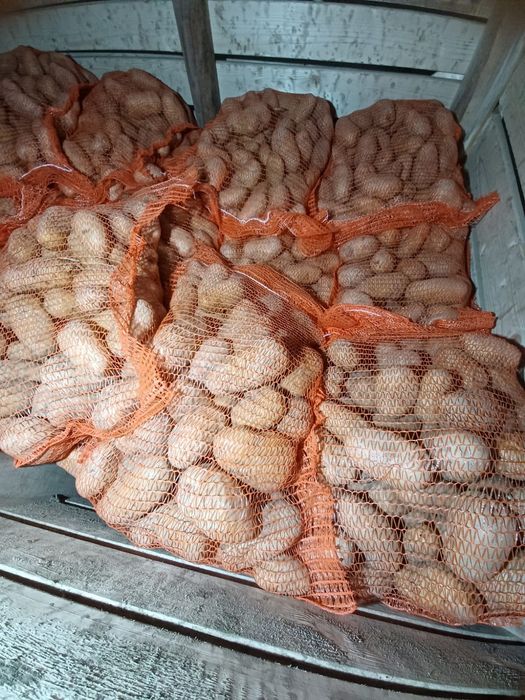 Cartofi albi cu miez galben amalaj 10kg si 25 kg