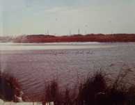 Teren Vânzare Mogosoaia-1000 mp, Deschidere directă la lac 65 metri!!!