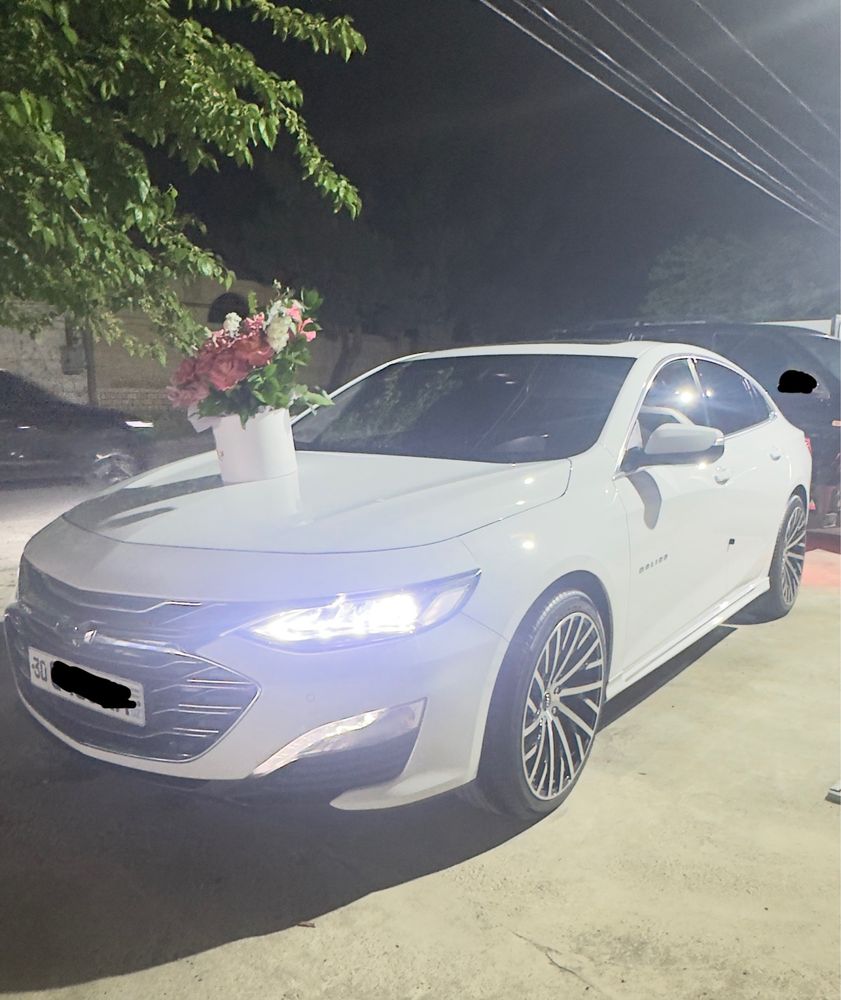 Malibu primyer holati zur