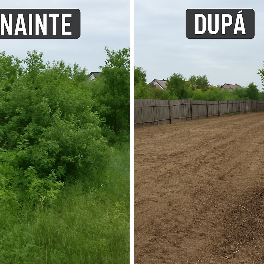 Firmă de incredere - Zugraveli , defrișări, spart pereți si altele