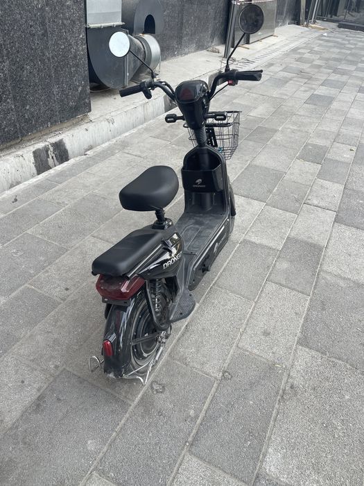 Drongo yangi ko’p minilmagan