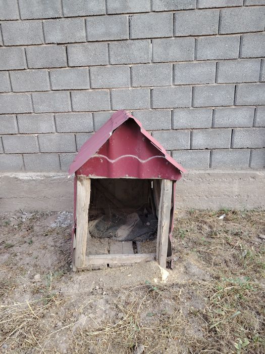 Бутка для собаки