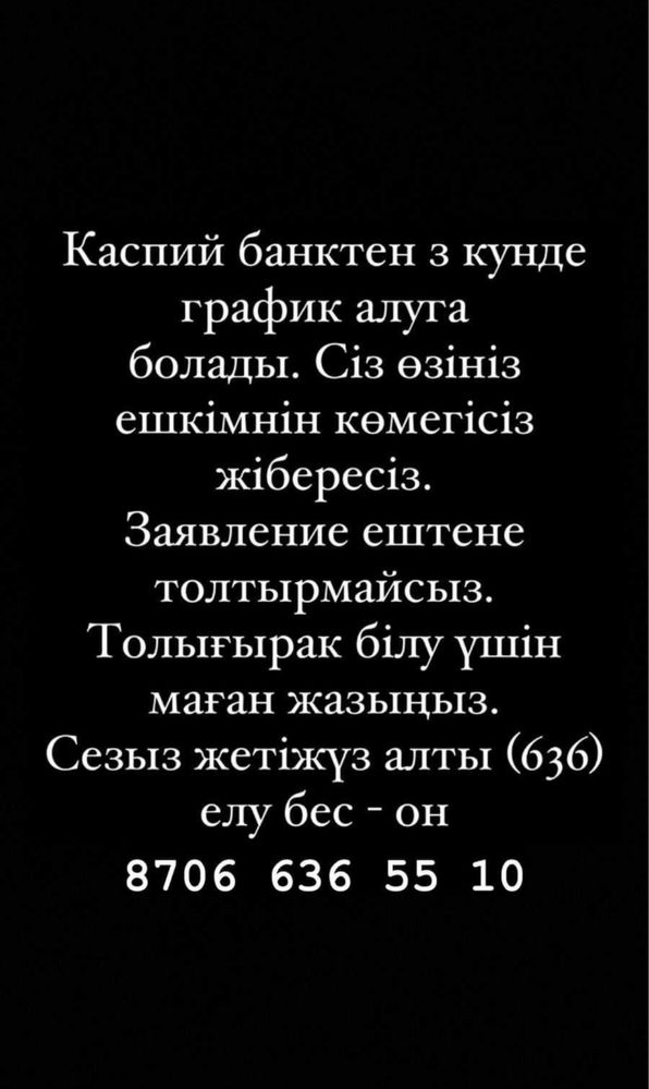 Снятие ареста со счетов / Арест шешу / График МФО И БАНК / ИП отчет