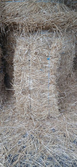 Paie de grâu de vânzare