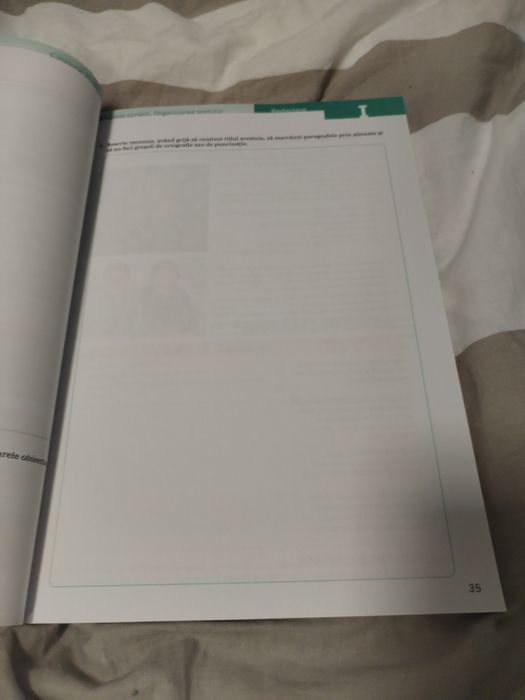 Limba și literatura română – Caietul elevului, Clasa a VII-a