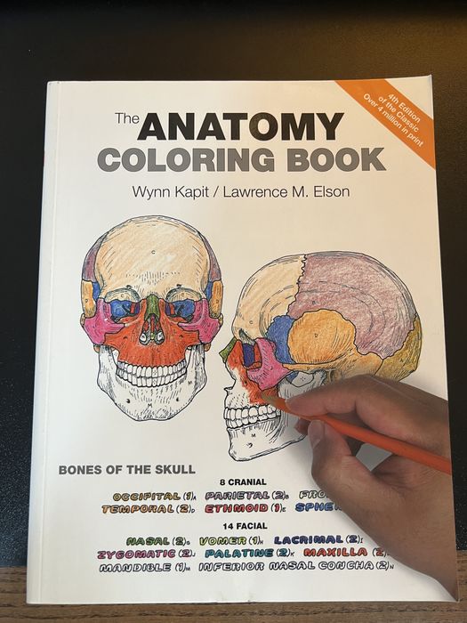 Atlas de anatomie pentru colorat