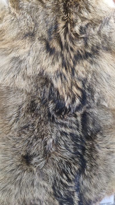 Кожа от чакал, два броя с приблизителен размер 80/40