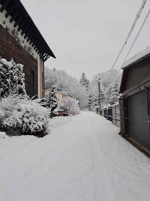 Oferta Black Friday Week: Revelion 2026 la Văliug!