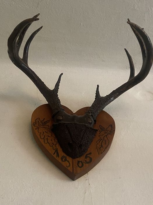 Trofeu unicat/ cerb american 110 ani