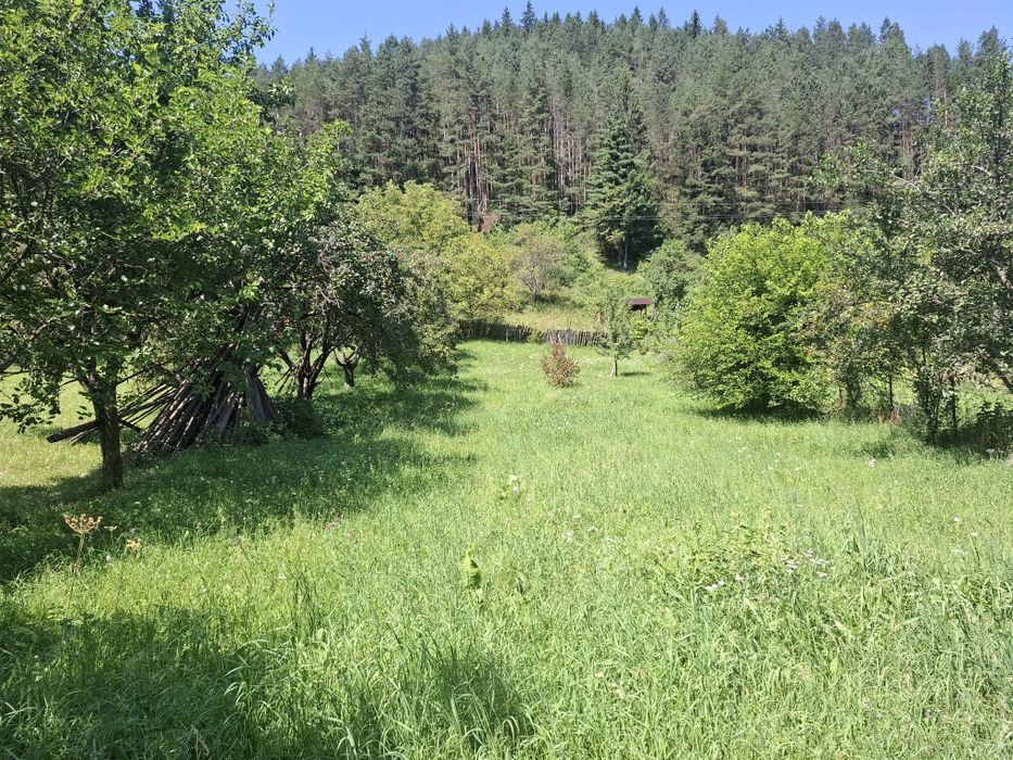 Teren intravilan 2337, utilități, livadă, Grințieș (Neamț) langa Durau