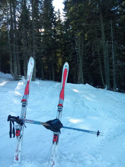 Преподавам индивидуални уроци по ски