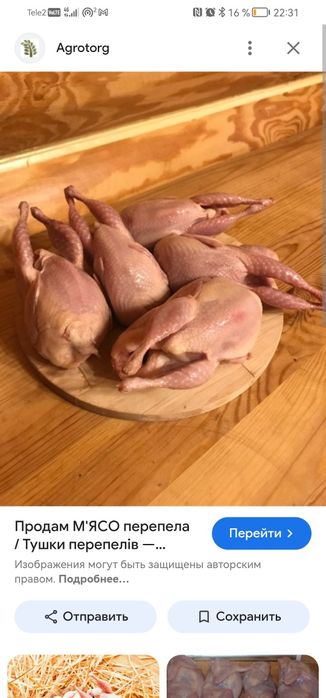 Перепелинное мясо