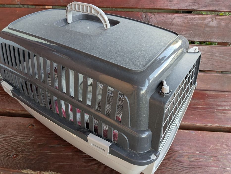 Box transport animale