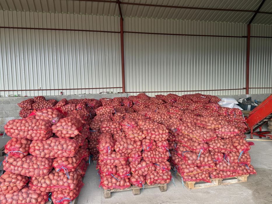 Cartofi de consul recent ambalat