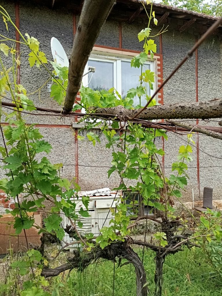 Къща село Тетово об русе