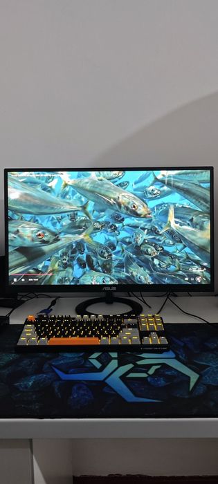 Офисные Монитор 27" Asus VZ279HE Black 60 Hz Ideal
Характеристики
Диаг