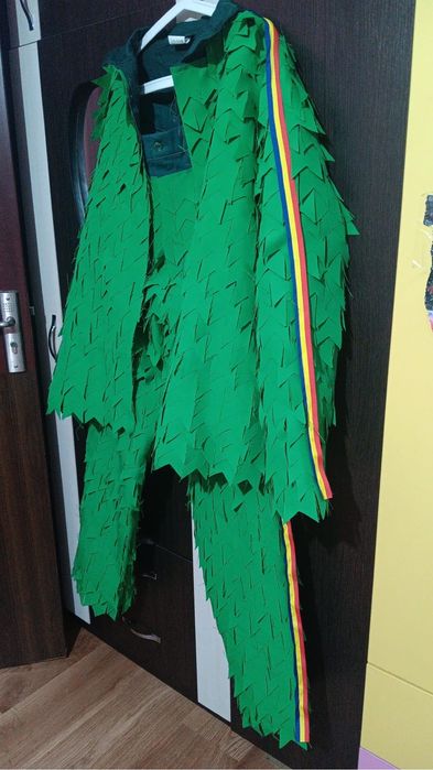 Costume si masca pentru anul nou