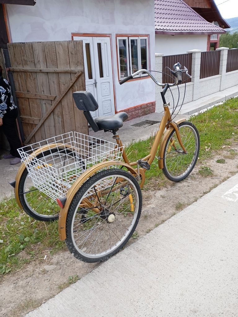 Bicicleta cu 3 roți