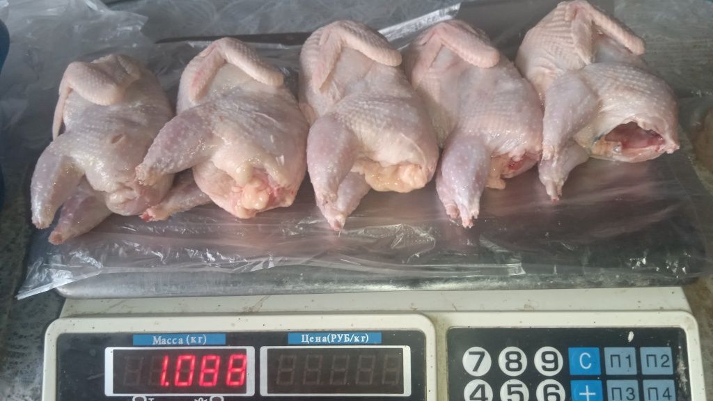 Продам перепелиное мясо