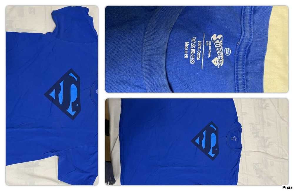 Тениски DC Comics Tiger and Lion XXL