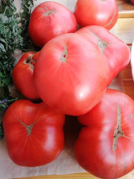 Продам дачные, помидоры.
