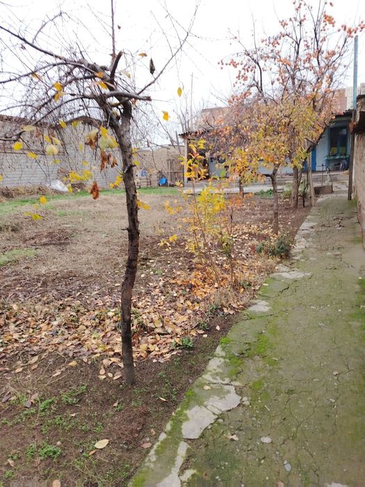 Продаётся участок на Сергили 5сотх .сотих 30.000$