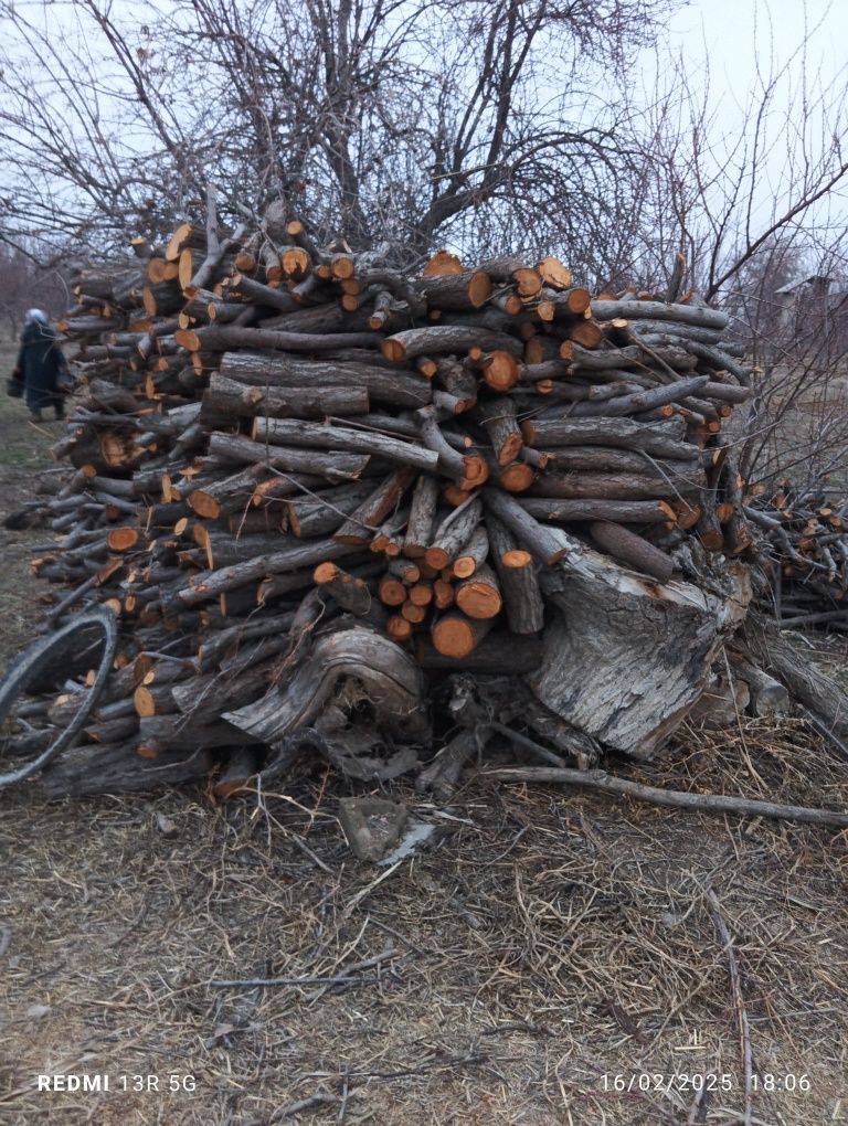 Залдори кунда сотилад