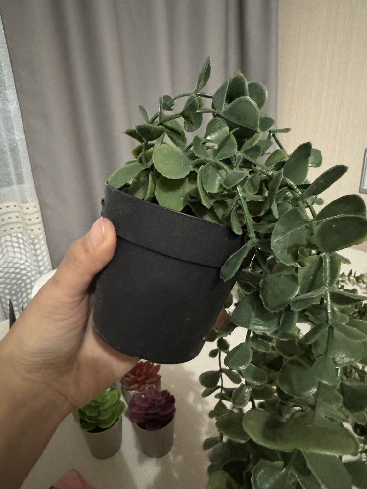 Декор для дома/офиса