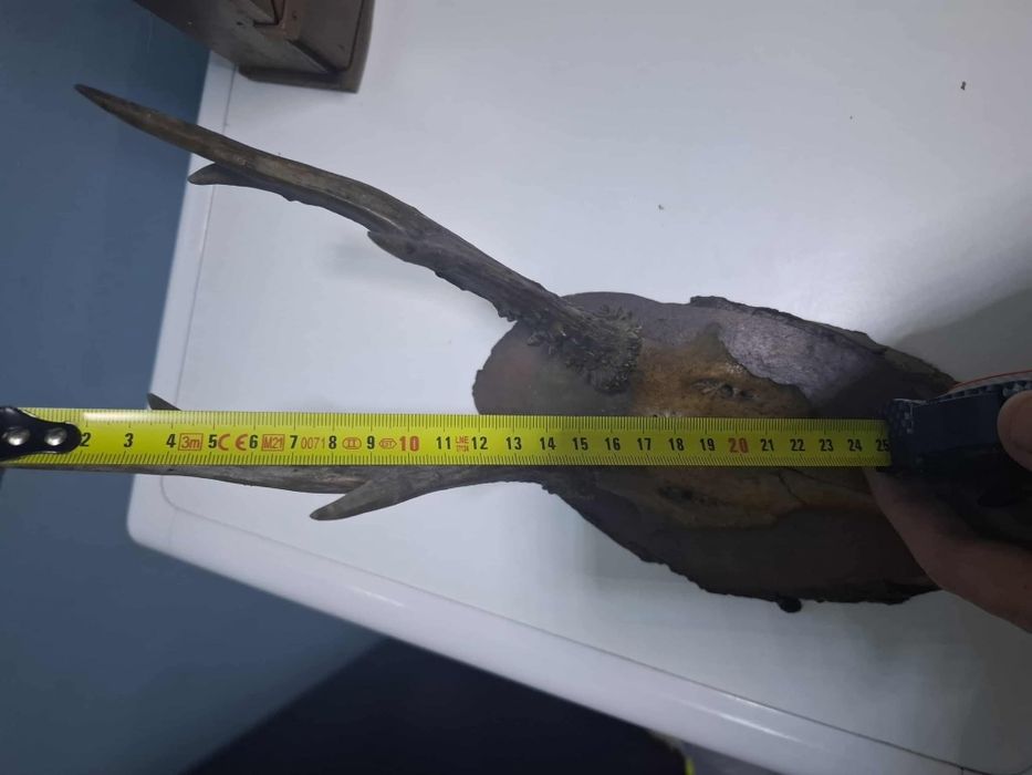 За битов кът механа Цена 50лв.