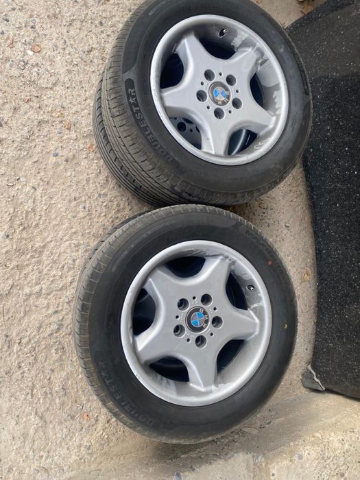 Черепаха р16 летний