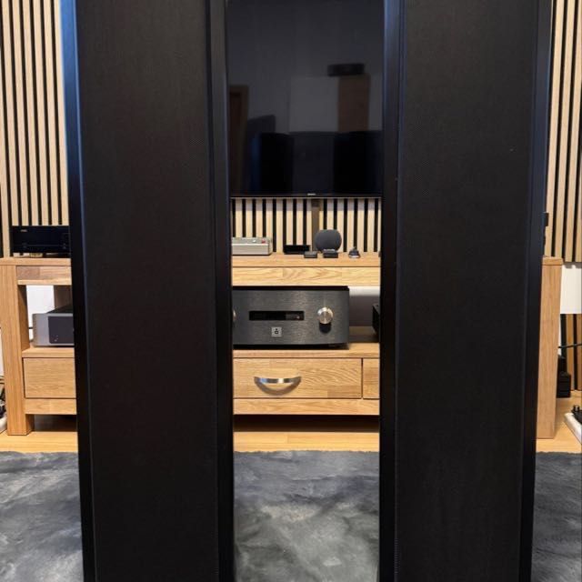 Piega Coax 90.2/Swizerland
