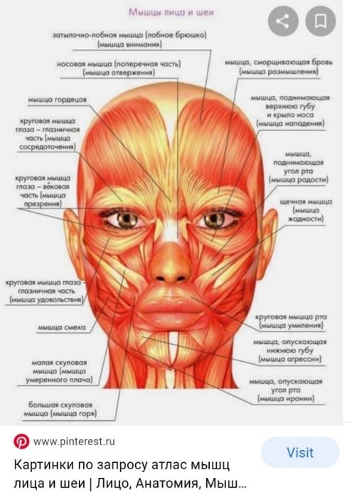 Классический массаж на дому