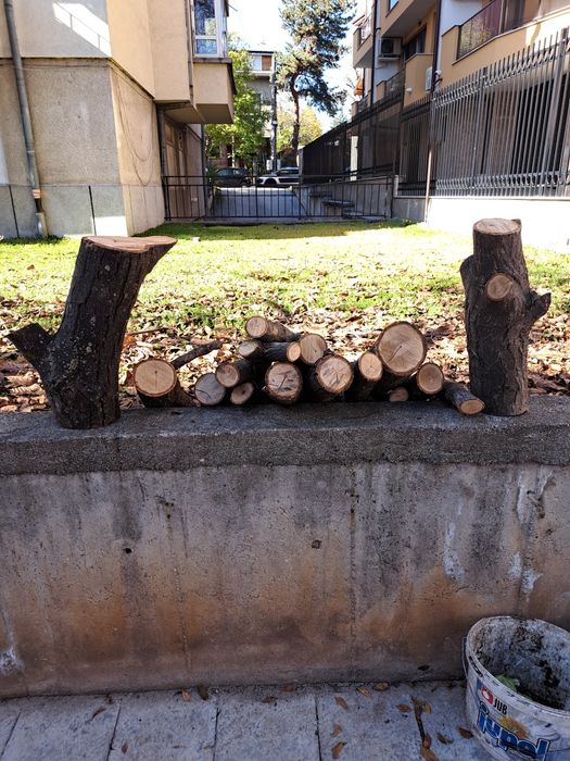 Клони от орех сухи!