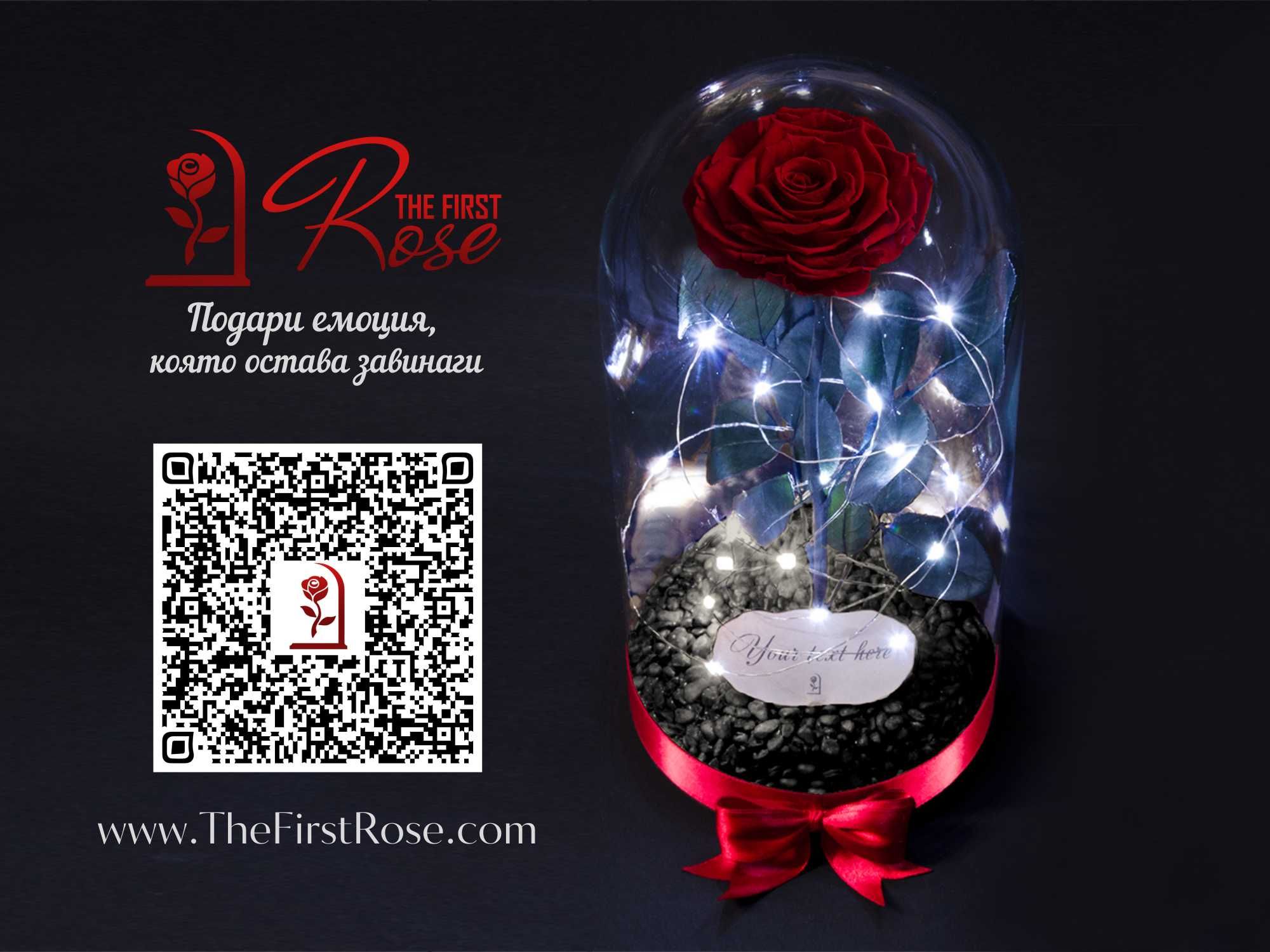 Жива Вечна Роза в ГОЛЯМА стъкленица / Подарък за Рожден Ден на Жена