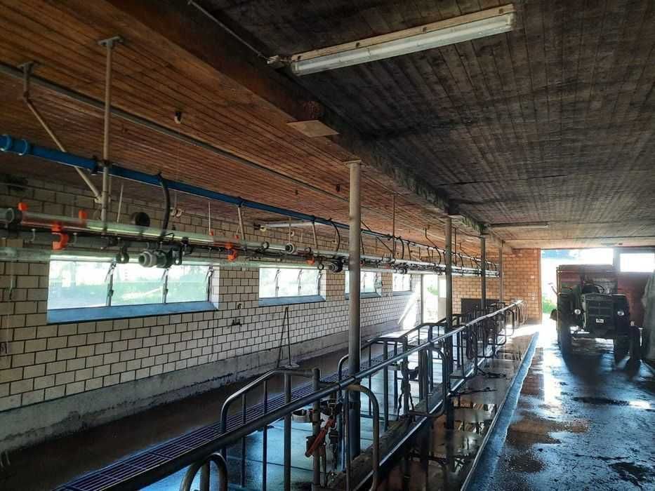 Sala de muls vaci