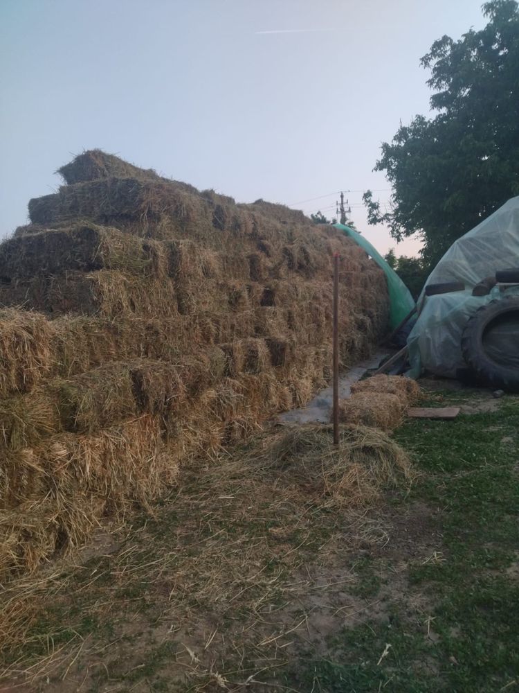 Vand baloti lucerna si ovaz