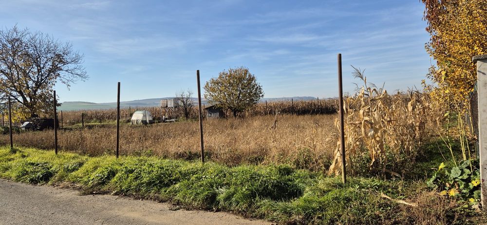 Teren intravilan Ludus