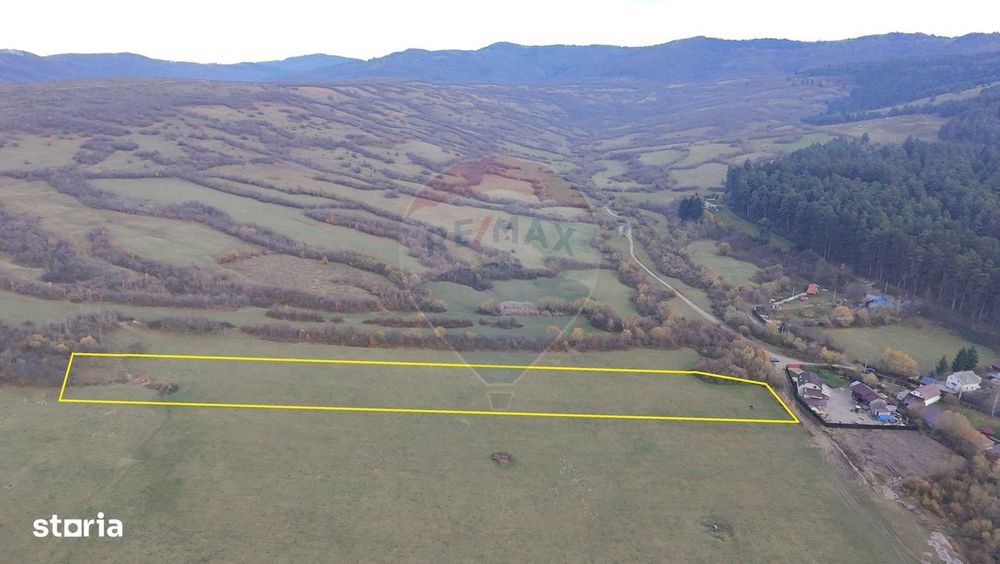 Teren 5.800 mp Purcareni curent, gaz, apă / Strada 30 decembrie