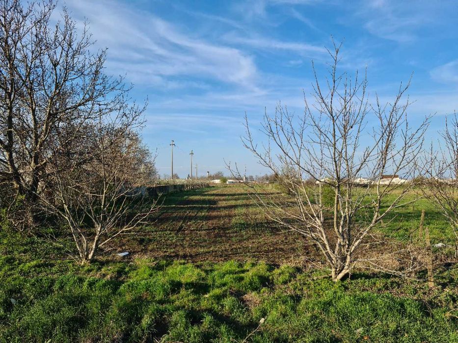 de vanzare teren intravilan 3000mp Manasia/Ialomita