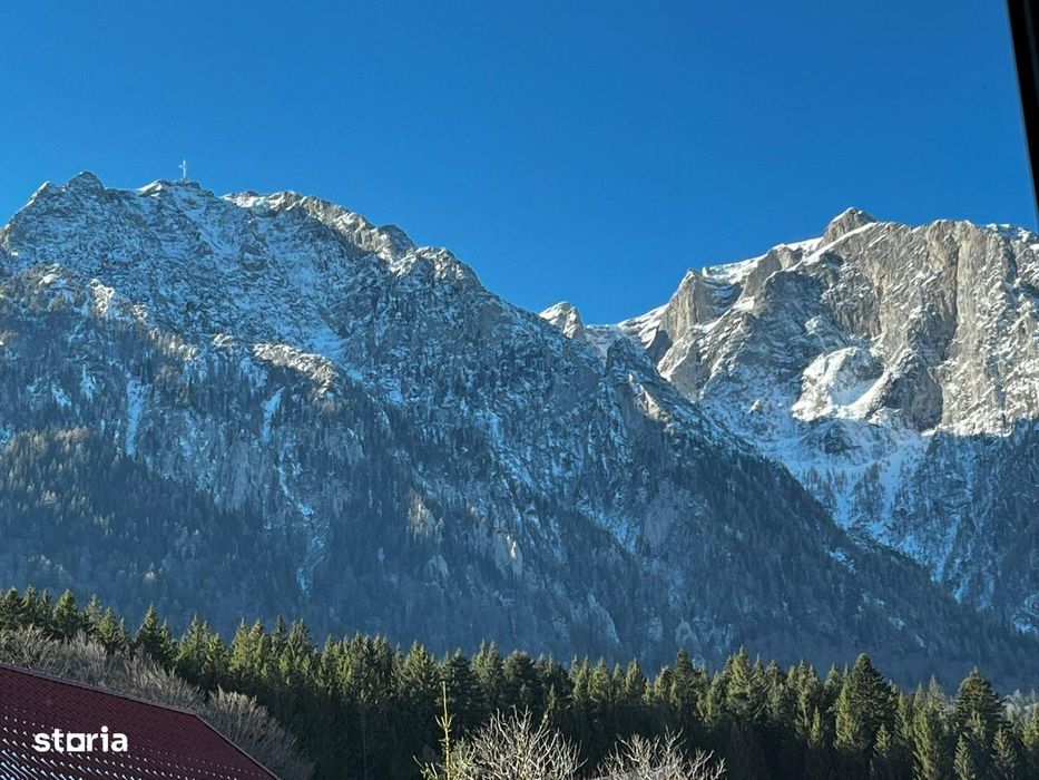 Apartament cu vedere la munte - Busteni