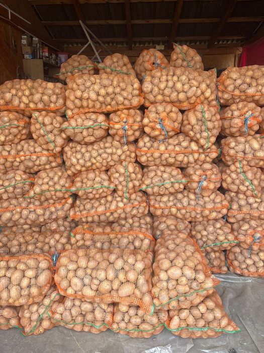 Cartof consum Arizona