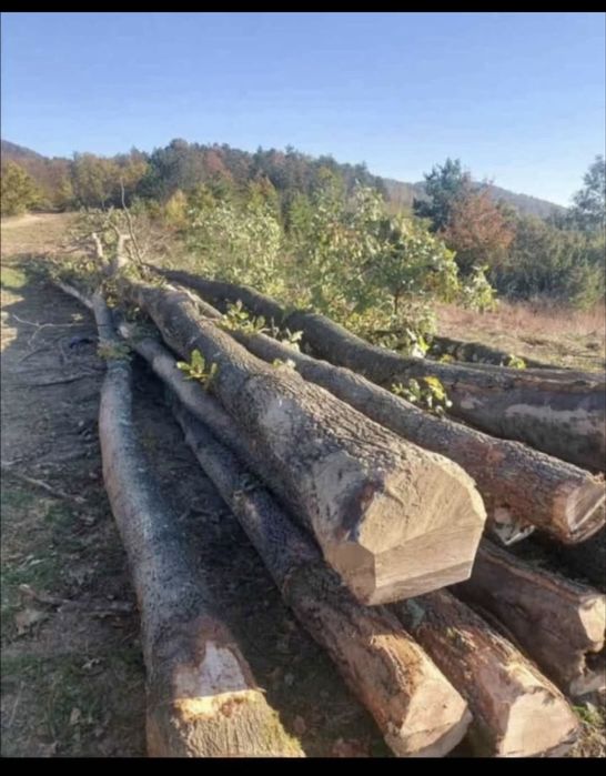 Lemn de foc esenta tare