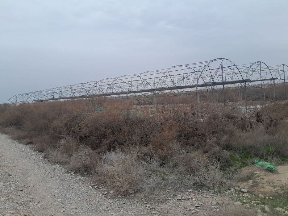 Срочно иссикхона сотилади