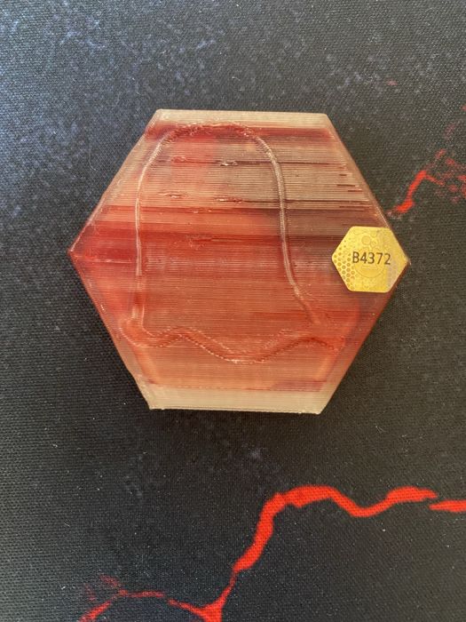 Най-редките лабкойни, 5 звезди рядкост