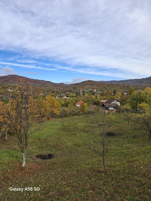 URGENT .Teren de vanzare Berislavesti