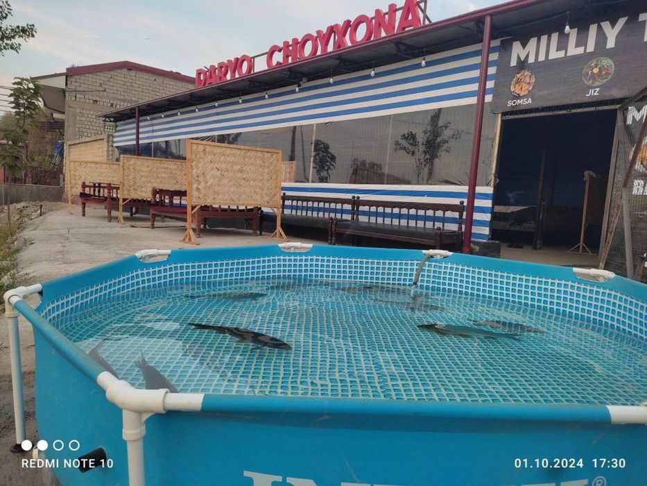 Чойхона аренда Трасса йокасида FOOD CITY