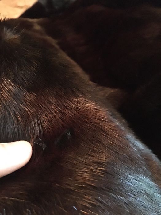 Haina blana de iarna de nurca - din SUA New York . Marimea medie.