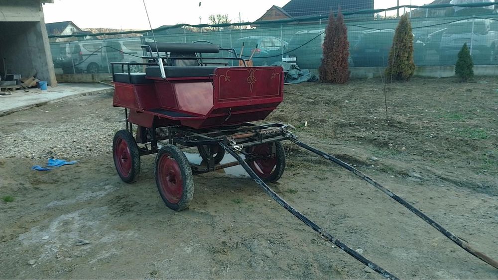 De vanzare:Trasura Maraton