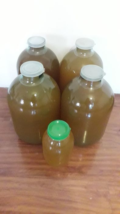 Яблочный уксус домашний 5000 один литр .